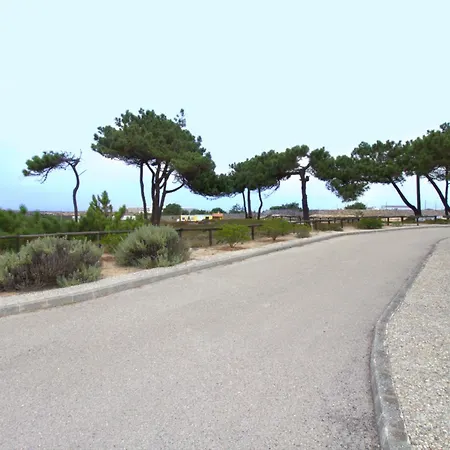 Wot Pinhalmar Soul 3* 佩尼契